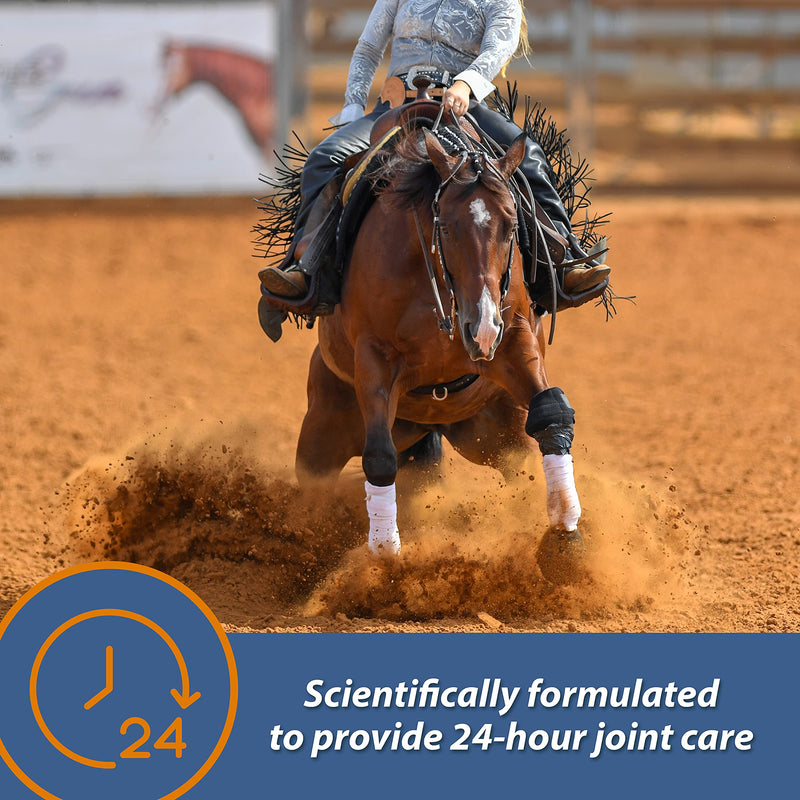 Farnam MaxFlex XR Extended Release Joint Supplement for Horses, Provides a continuous supply of joint health ingredients for 24 hours, 0.9375 pound, 30 Day Supply - BeesActive Australia
