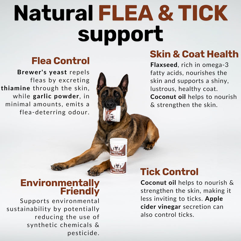 NutriPaw Flea and Tick Chews for Dogs - Natural Flea and Tick Supplement, Oral Flea Chews, No Harsh Pesticides, Natural Way to Enjoy The Spring & Summer - Bacon Flavour - For All Breeds