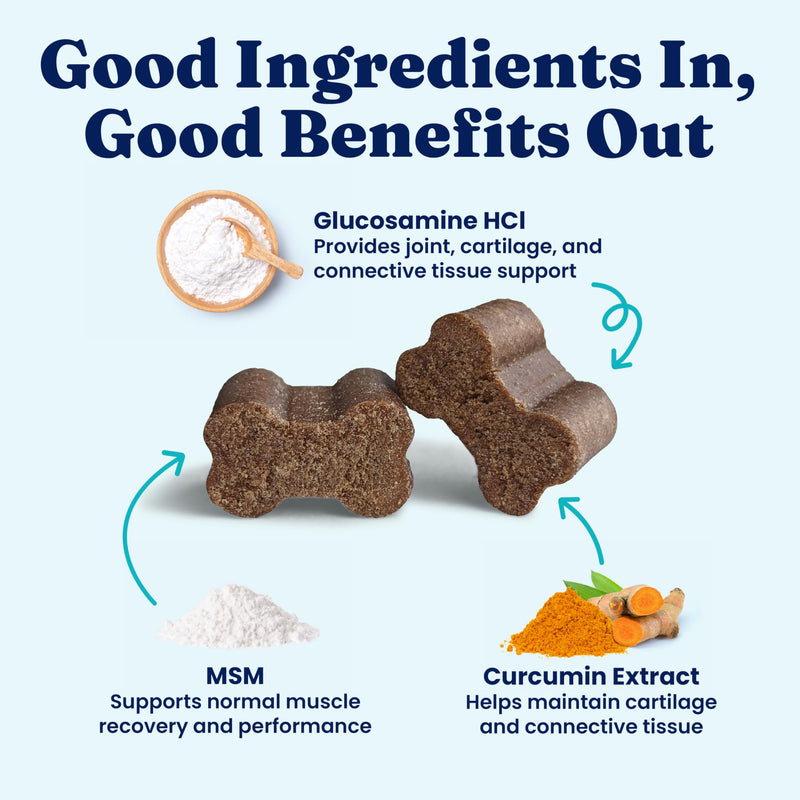 Solid Gold Hip and Joint Supplement for Dogs - Glucosamine Chondroitin MSM for Advanced Joint & Mobility Support - Omega 3 Fish Oil Antioxidant & Immune Health Support Complete Joint Health - 60 Chews