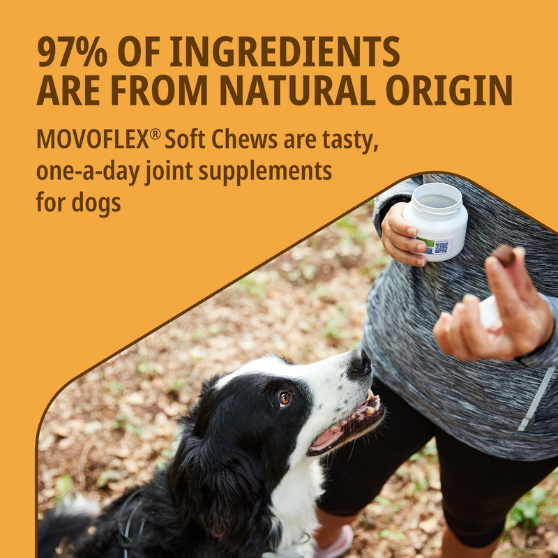 MOVOFLEX® Joint Supplement for Medium Dogs 15-35kg | Support Joints & Mobility | Fast-Acting Tasty Chews | 30 Chews