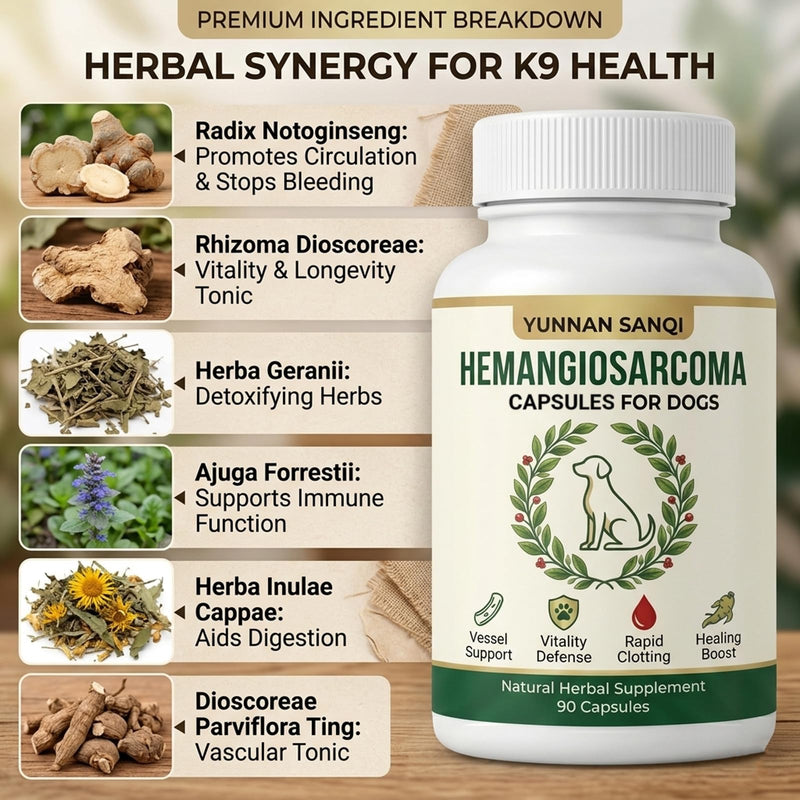 Yunnan Sanqi Capsules for Dogs - Herbal Circulation, Blood Flow & Vitality Support, Helps Manage Hemangiosarcoma-Related & Minor Bleeding -90 Capsules