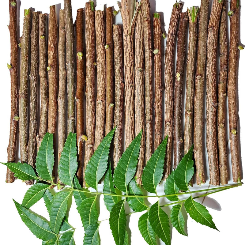 Traditional Ayurvedic Sun Dried Neem Twigs, Natural Datun Chew Sticks, Vacuum Packed Wooden Brushing Sticks, Manual Tooth Cleaning Alternative, 7-8 Inch, Pack of 10 + 1 Free