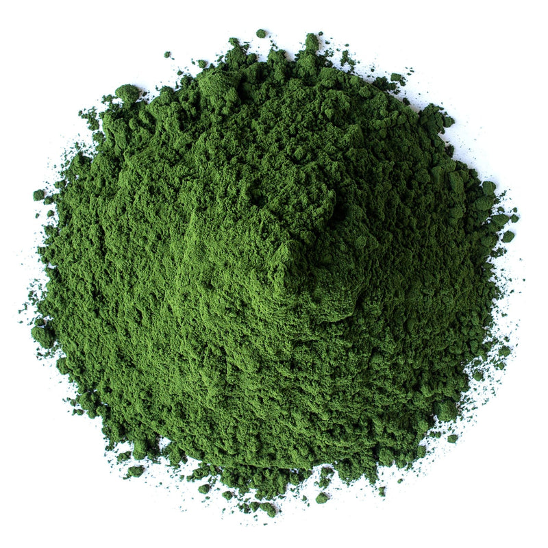 Food to Live Chlorella Powder, 4 Ounces - Kosher, Raw Green Algae, Vegan Superfood, Bulk, Pure Vegan Green Protein, Rich in Vitamins and Minerals, Great for Drinks, Teas and Smoothies 4 Ounce (Pack of 1)
