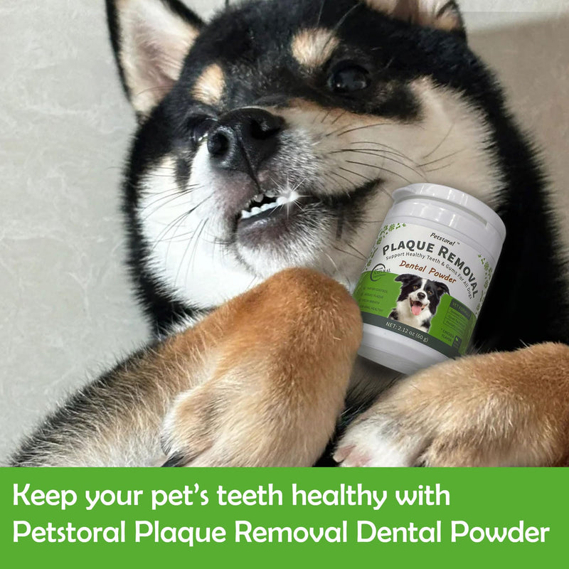 Natural Dog Dental Powder, Dog Dental Care - Plaque Remover and Bad Breath Treatment, Healthy Gums & Fresh Breath for All Dogs and Cats 2 oz. 2 Ounce (Pack of 1) - BeesActive Australia