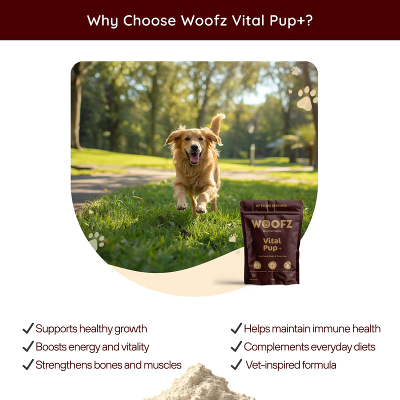 Vital Pup + Dog Multivitamin Powder, 13 Essential Vitamins & Minerals, Daily Wellness Formula, 500g, up to 200 Servings