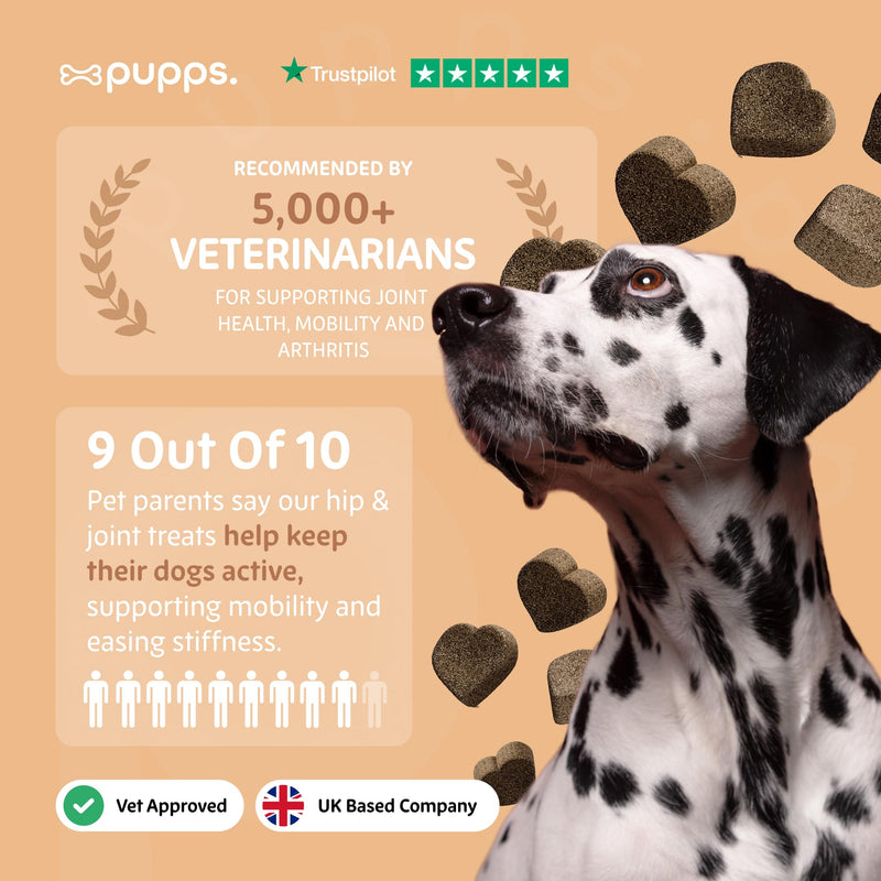 Pupps Hip & Joint Dog Treats – 120 Chews with Glucosamine (1000mg), Green Lipped Mussel & MSM | Joint Support for Dogs of All Ages | Helps Mobility, Stiffness & Comfort | Vet Approved, UK Made 120 x Chews