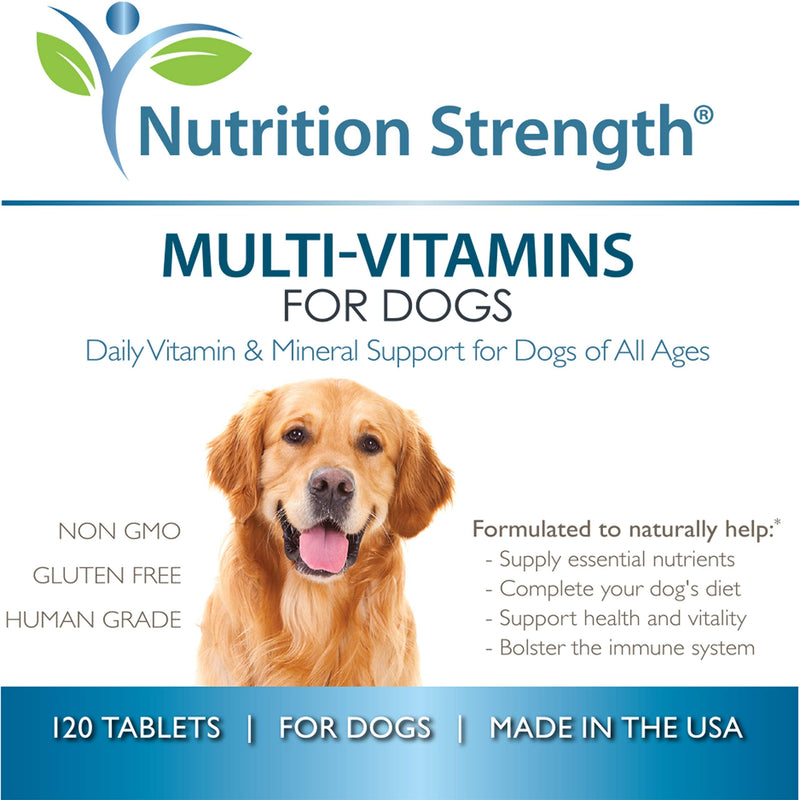 Multivitamins for Dogs, Daily Vitamin and Mineral Support, Nutritional Dog Supplements for All Canine Breeds and Sizes, Promotes Immune Health in Pets, 120 Chewable Tablets - PawsPlanet Australia