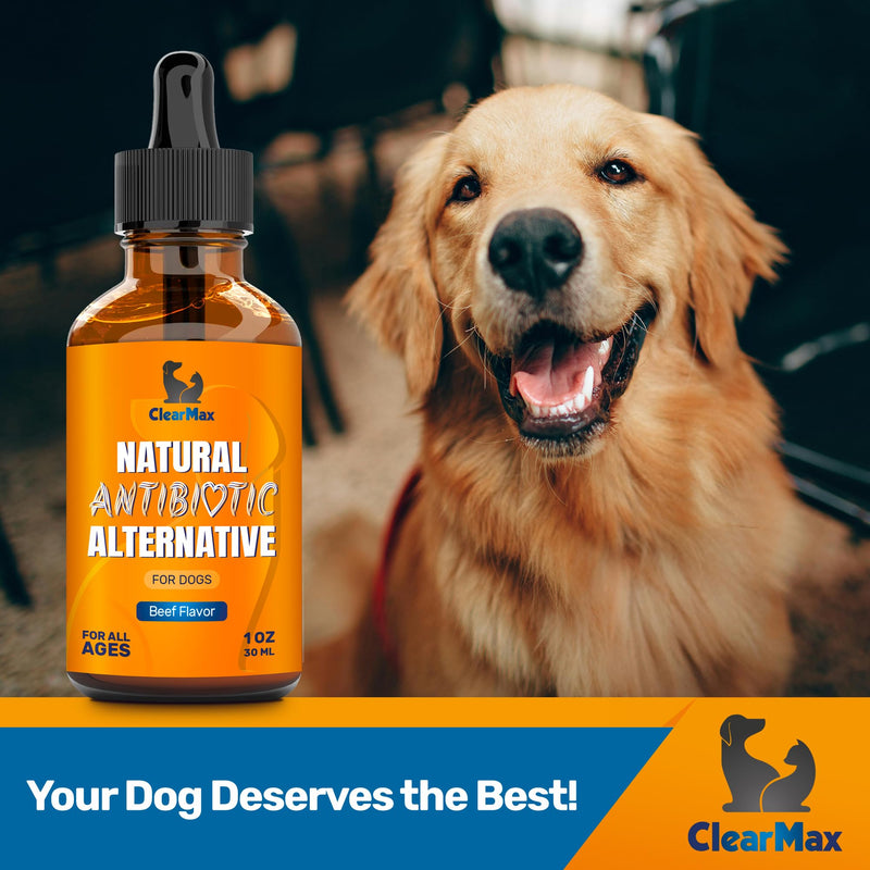 Dog Antibiotics ◆ Antibiotics for Dogs ◆ Natural Antibiotics for Dogs ◆ Antibiotic for Dogs ◆ Dog Antibiotic ◆ Beef Flavor ◆ 1 Oz - BeesActive Australia
