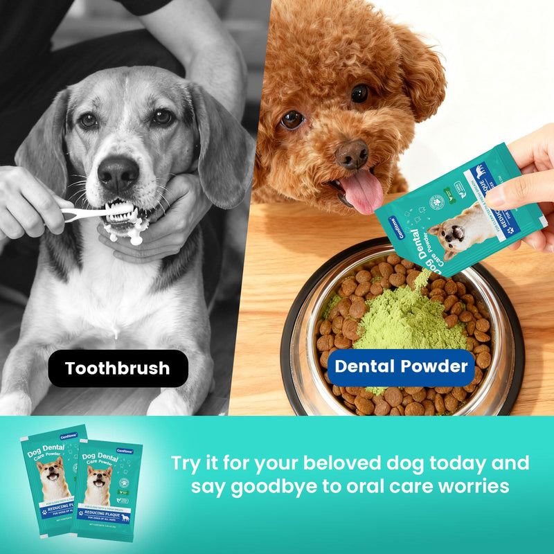 Dog Dental Powder for Teeth Cleaning with Probiotic & Tartar Remover, Fresh Breath Support, No Brushing Oral Care, Chicken Flavor, 60ct