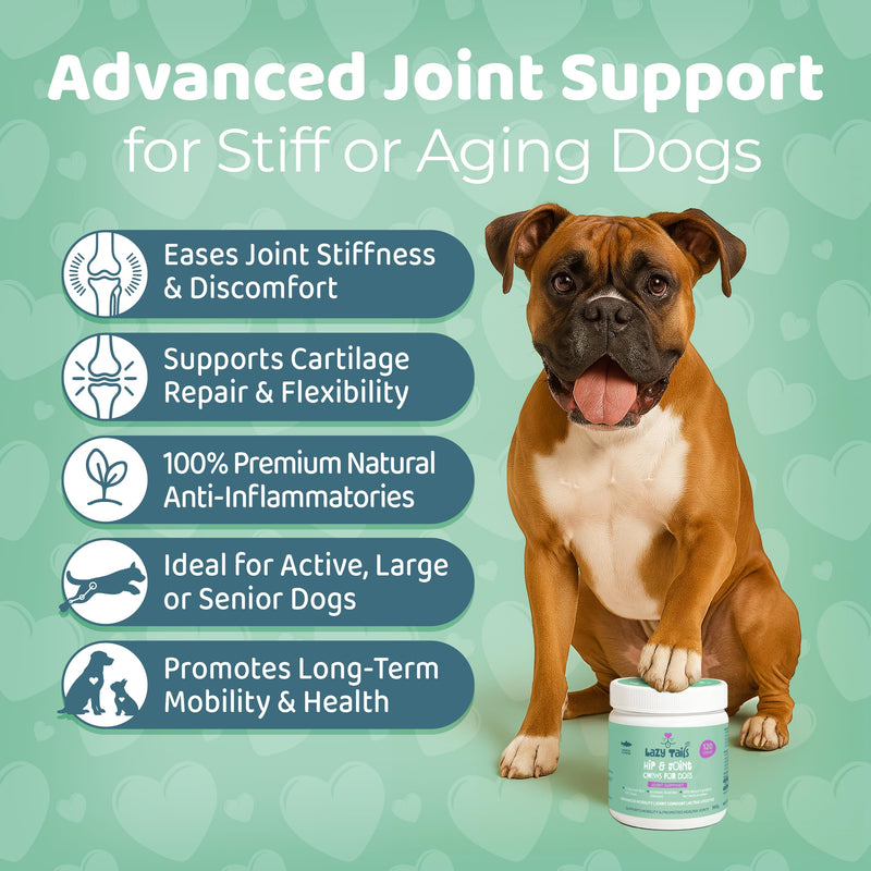 Hip and Joint Supplements for Dogs – 120 Soft Dog Chews – Natural Salmon Flavor Hip and Joint Chews for Dogs - Dog Treats for All Breeds & Sizes 360g