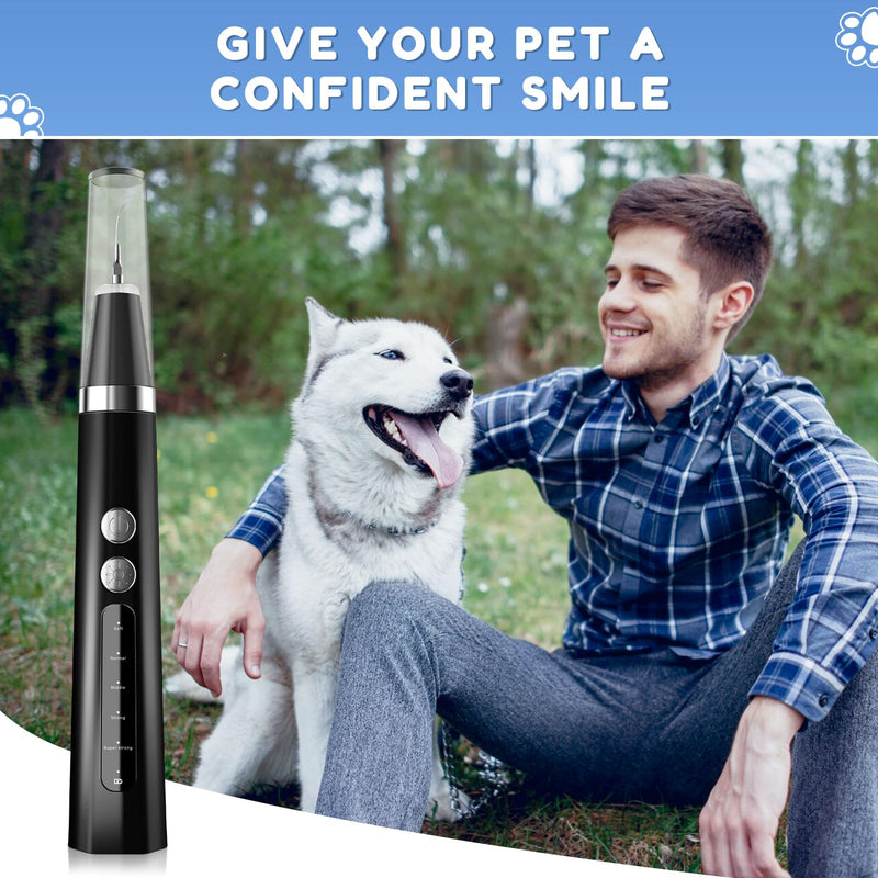 Ultrasonic tartar remover for dogs and cats, tooth cleaner for pets, dog tooth cleaning set, teeth cleaning and cleaning set. Fights tartar, bad breath and gum inflammation - BeesActive Australia