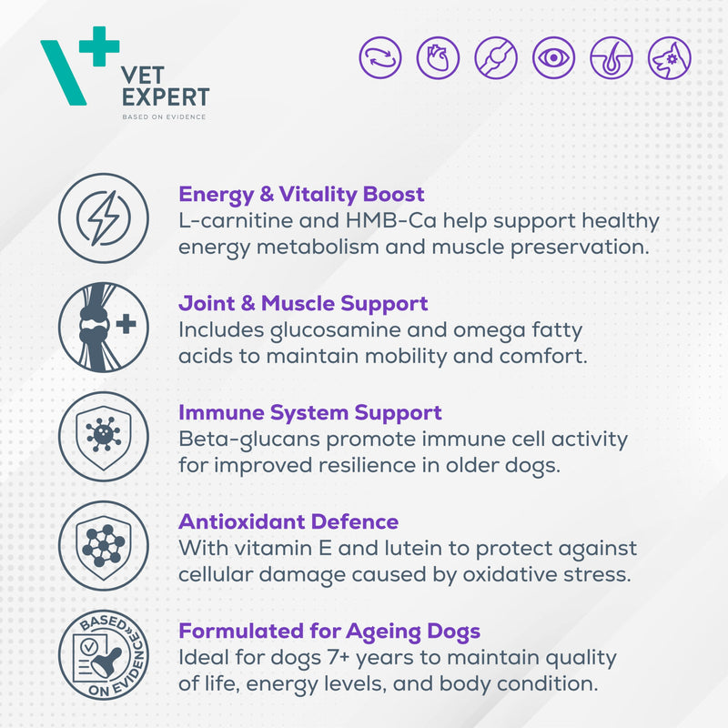 Vet Expert Geriativet Senior Dog Supplement | Enhances Energy Metabolism, Joint Health, and Immune Function | HMB-Ca, Omega-6, β-Glucan, L-Carnitine, Glucosamine, Lutein, and Vitamin E | 45 Capsules