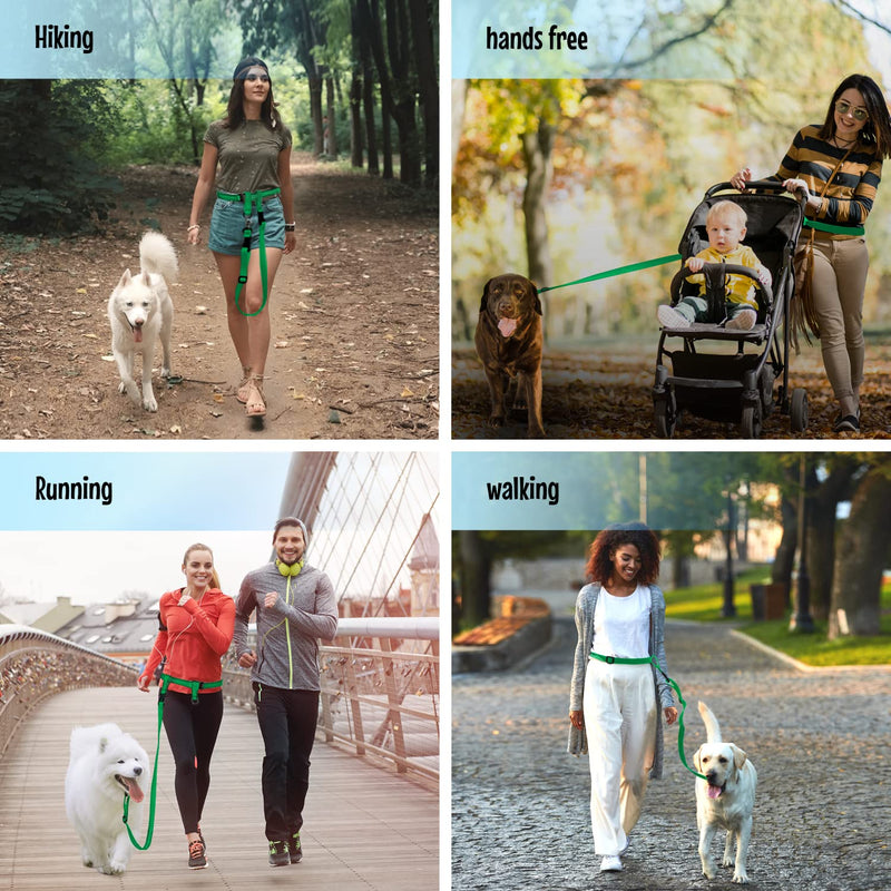 The Buddy System Hands Free Dog Leash, Adjustable Leash for Running, Jogging, Training and Service Dogs, Great for Small, Medium and Large Dogs, Made in USA (Green, Regular Belt (22"- 40" Waist)) Regular Dog System (Regular Belt (22"- 40" Waist)) Green