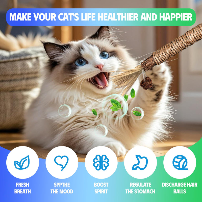 4 Pcs Cat & Kitten Chew Toy, Cat Toys Chew Ropes and Silvervine Cat Chew Sticks with Refillable Natural Catnip Bag for Teeth Cleaning, Safe Interactive Cat Toys for Indoor Cats 4 Pack - BeesActive Australia