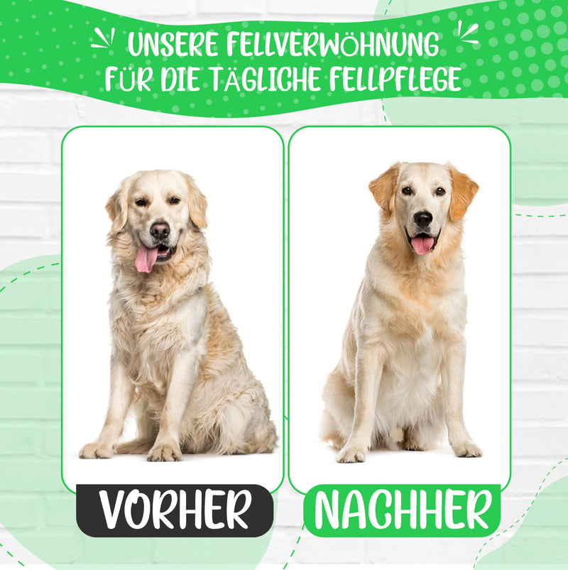 Test grade: Very good - Soft brush improved version I Gentle grooming for dogs, puppies, cats, rabbits, hamsters I + Free e-book care manual size S - BeesActive Australia