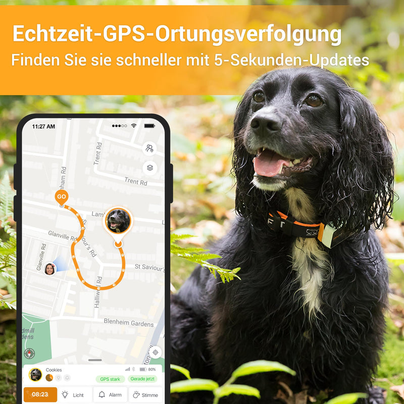Pawfit 3 GPS tracker for dogs, 4G dog tracker, worldwide live tracking, remote voice commands, 3 intelligent alarms, activity tracking for dogs and cats over 3.5 kg, suitable for all collars - BeesActive Australia