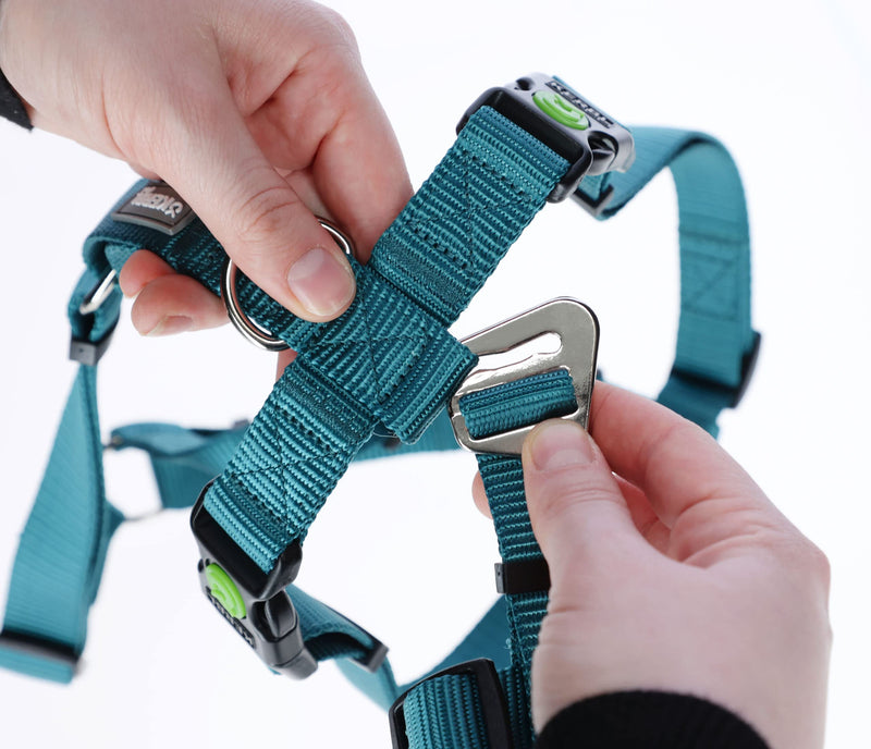 Kerbl 80041 Miami panic harness, escape-proof, petrol, 38-52cm 42 - 55 cm - BeesActive Australia