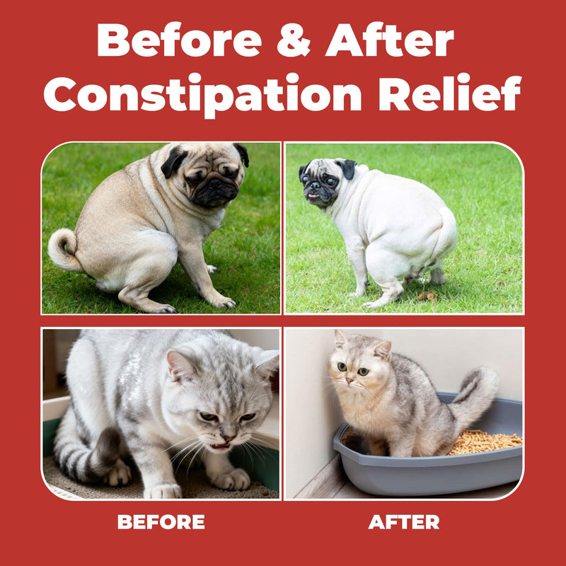 Constipation Relief for Dogs and Cats - Gentle Laxative and Stool Softener with Psyllium - Supports Healthy Bowel Movements, Hairball Relief, and Digestive Comfort - 2 fl oz (60 ml)