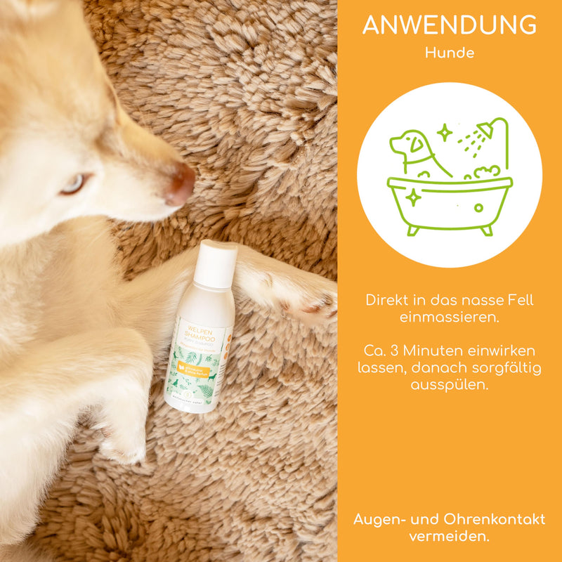 Puppy shampoo sensitive for dogs - pH neutral, without perfume, for long hair and short hair, 100% plant-based active ingredients - for dandruff, itching and mites, 100ml puppy shampoo - BeesActive Australia