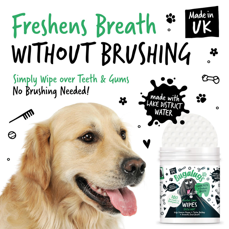 Bugalugs Breath Freshener - Plaque & Tartar Remover Wipes (No Toothbrush/Toothpaste Needed, 100 Wipes) 1 count (Pack of 100)