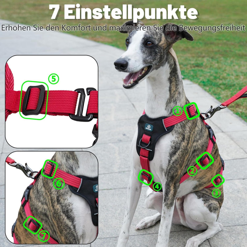 Paworld safety harness dog, anti-pull dog harness, panic harness for dogs, escape-proof harness dog, adjustable, breathable vest for small, medium and large dogs (pink red, M) medium (pack of 1) pink red - BeesActive Australia