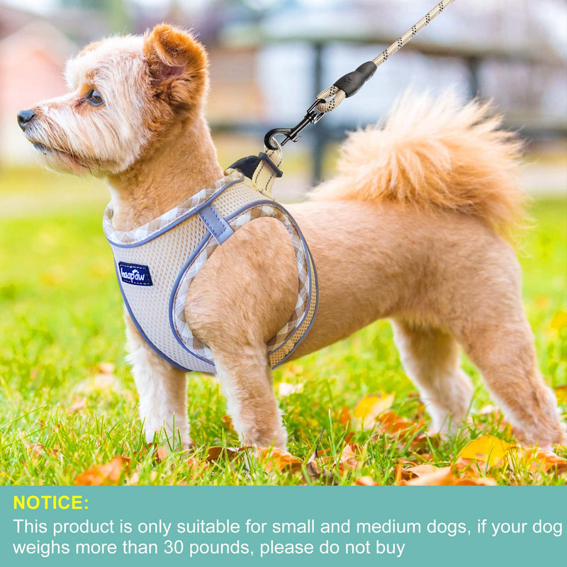 Dog Harness with Leash Set, No Pull Adjustable Reflective Step-in Puppy Harness with Thickened Padded Vest for Extra-Small/Small Medium Dogs M (Chest 15''-18'', Weight 10-15 lb) Beige - BeesActive Australia