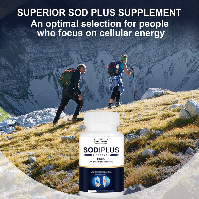 Superoxide Dismutase Supplement 500mg - SOD Plus with Liposomal Glutathione, AKG, Green Tea Extract, L-Arginine, Lysine, Resveratrol and Vitamin E for Immune Support, Antioxidant 180 Capsules