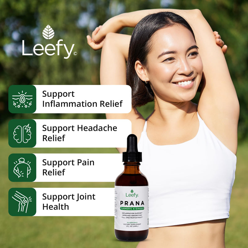 Leefy Organics PRANA - The Original Organic Liquid Turmeric Curcumin and Ginger Extract with Black Pepper | Supplement to Support Heart, Brain, Joint Health, Inflammatory Response, Immunity, Drops - BeesActive Australia