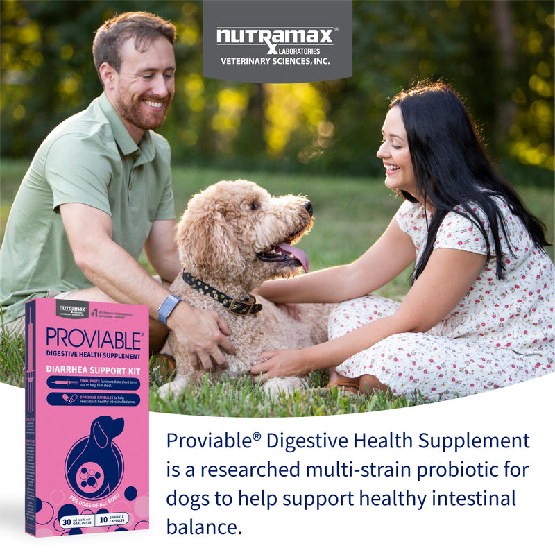 Nutramax Proviable Probiotics for Dogs, Diarrhea Support Kit, Digestive Health Supplement with Multiple Strains of Bacteria, Plus Prebiotics, Kaolin and Pectin, 30 ml Paste and 10 Capsules Dogs - 30 ml (Pack of 10)