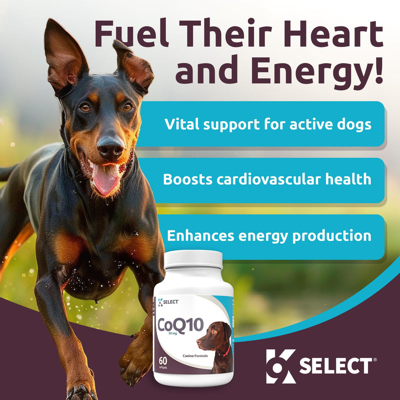 K9 Select CoQ10 Supplement for Dogs, 30mg - 60 Soft Gels per Bottle - Pet Supplement, Nutritional Softgels for Canine Heart Health, Cardiovascular & Gum Health, Energy - PawsPlanet Australia
