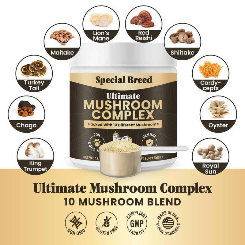 Mushroom Powder for Dogs & Cats - Organic Mushroom Complex for Immunity Support, Immune Function, Cognition, Vitality - Ten Mushroom Supplement with Turkey Tail, Lion's Mane, Reishi - 720 Scoops 12.70oz
