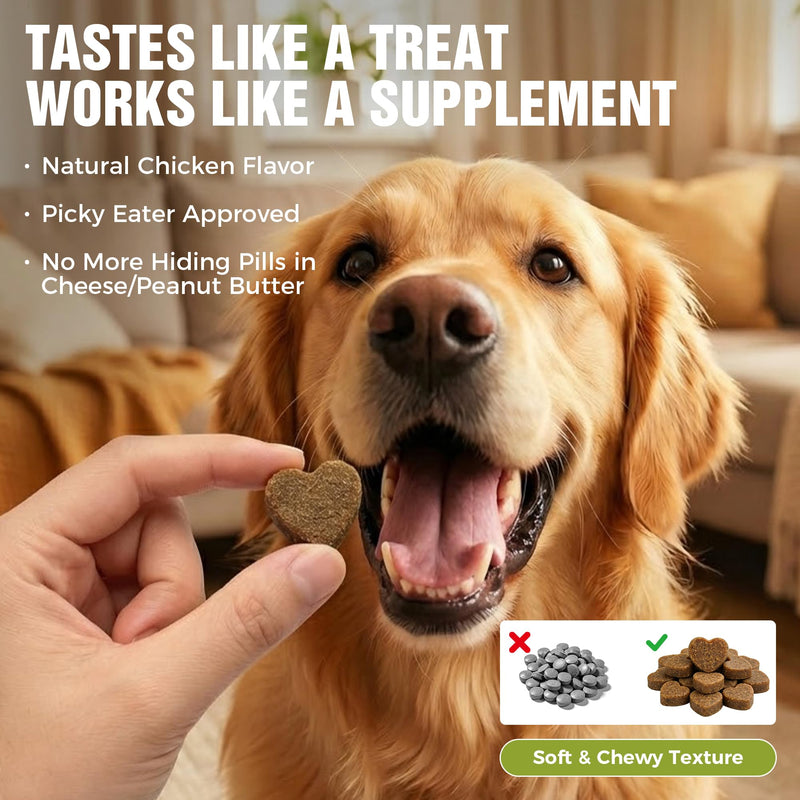 Dog Probiotics 2 Billion CFU & 6 Strains - Advanced Digestive Support with Bacillus Subtilis - Soft Chews for Gut Health, Bloating & Healthy Stool - Daily Supplement for All Breeds 120 Count-V2