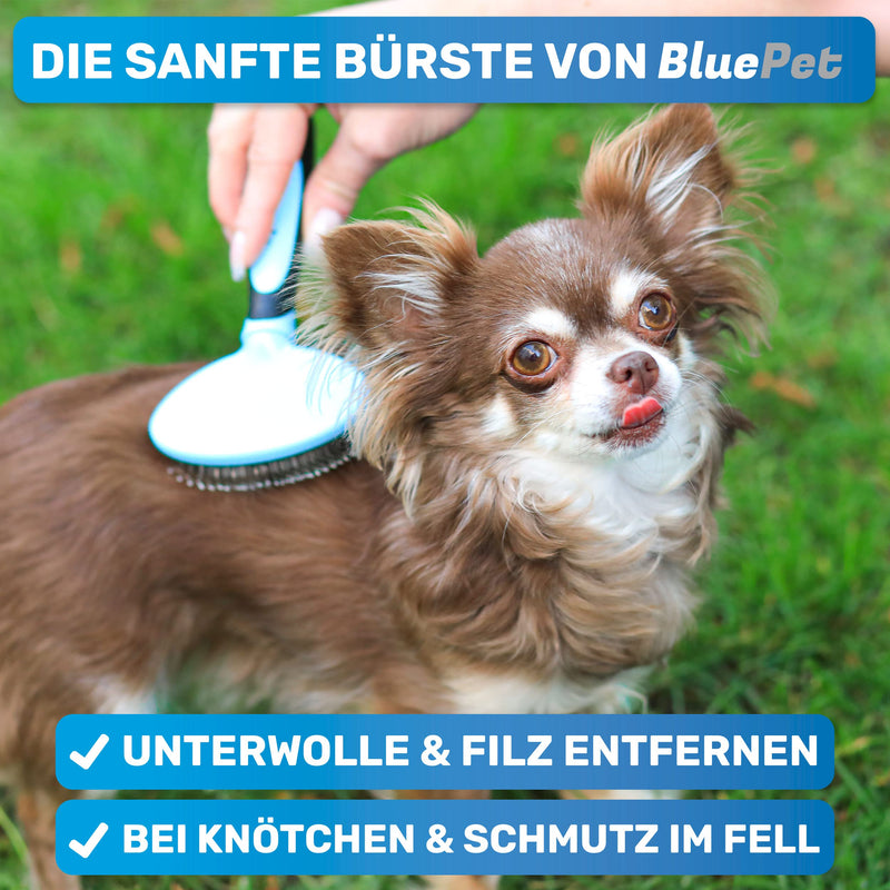 BluePet cat brush & small dog brush, rabbit brush - gently removes underfur, knots & felt - mini plucking tool for daily grooming mini blue - BeesActive Australia