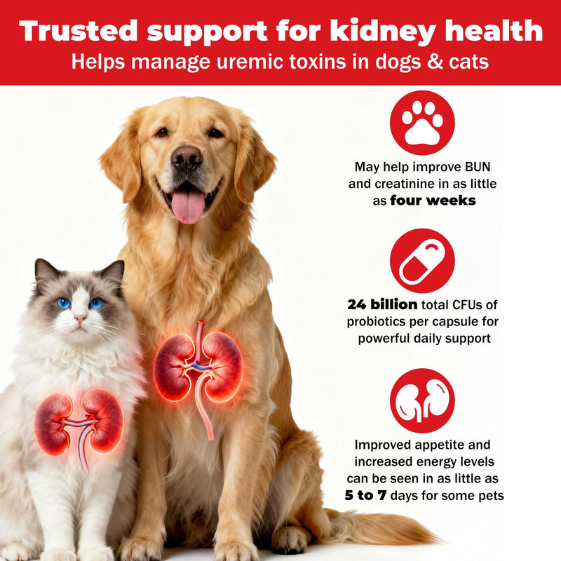 Kidney Health Supplement for Dogs & Cats | Probiotic Pet Wellbeing | Kidney Supplement | Help Support Kidney Function & Manage Renal Toxins | Renal Care Supplement Capsule 120ct