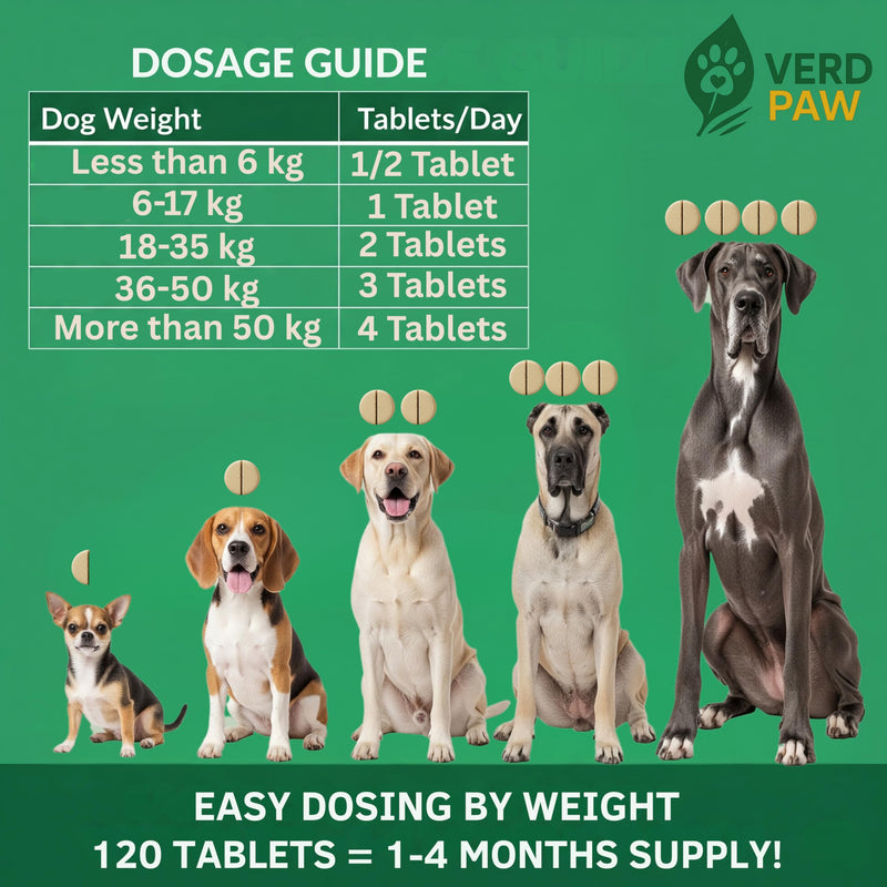 Dog joint supplements for dogs – Hip & joint care for dogs with glucosamine for dogs, Chondroitin, MSM & Green Lipped Mussel – Mobility, Flexibility & Stiffness Support – 120 Tablets – No Additives