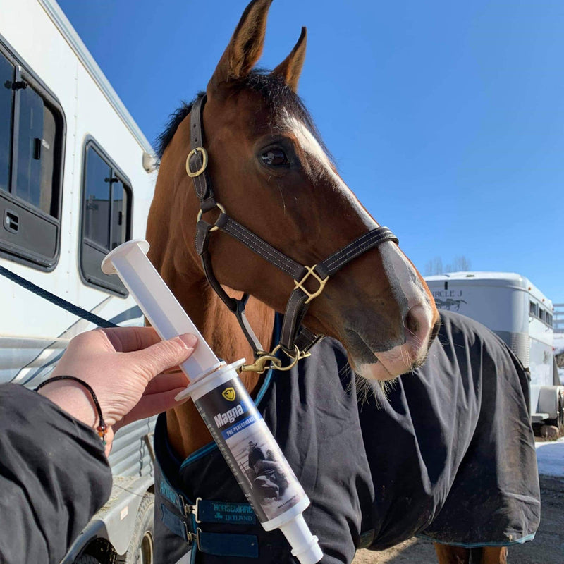Pre-Performance Paste for Horses - All Natural Calmer, Acid Buffer, Gastric Support w/Electrolytes - 60ml Syringe MagnaGard 1 Pack - BeesActive Australia