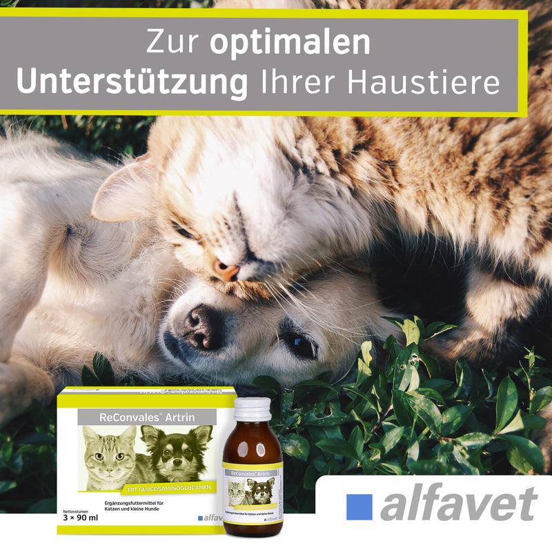 alfavet ReConvales Artrin, tonic 3x90ml, for bones and joints of cats and dogs, dietary supplement with omega-3 fatty acids - BeesActive Australia