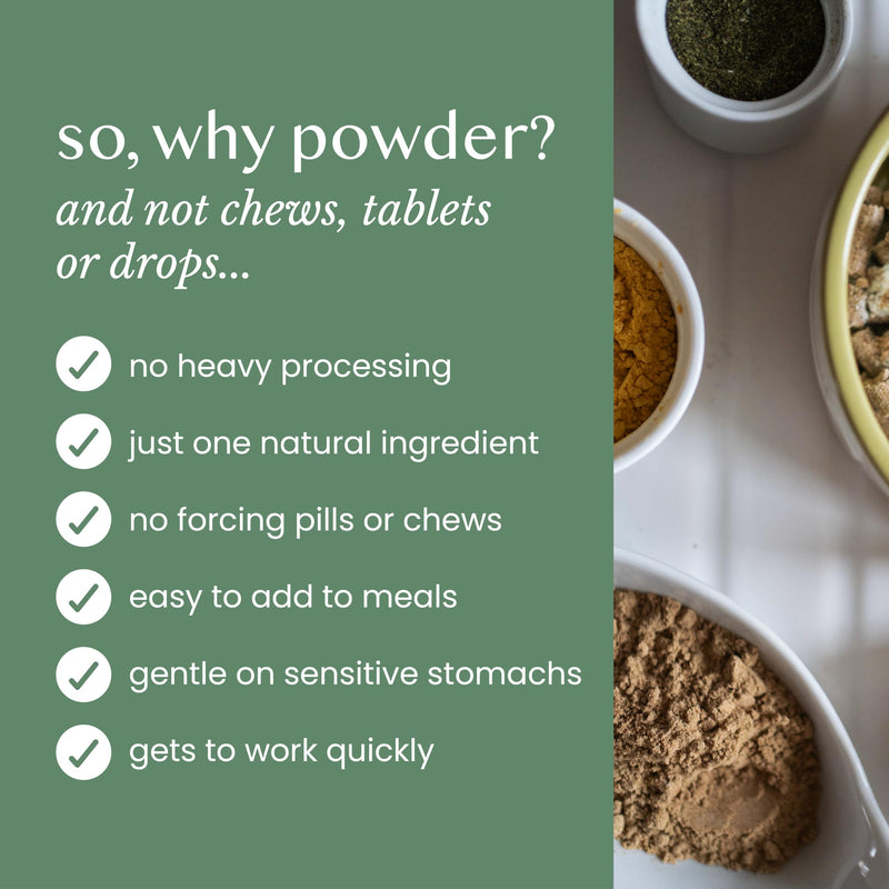 Pure & Natural Nettle Powder for Dogs and Cats – Soothes Itching, Licking and Sneezing – Pet Remedy For Year-Round Dog Allergy Relief and Sensitivities – 125g, over 170 servings, £0.08/serving