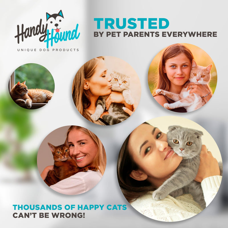 Antibiotics for Cats - Cat Allergy Relief for Cats - Perfect for Cat Sneezing Treatment and Cold Remedy for Cats - PawsPlanet Australia