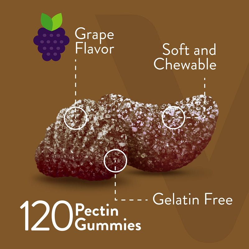 Viteey Iron Gummies - Iron with Vitamin C | Energy, Blood Support and Anemia Supplement for Women & Men - Vegan, Gluten Free - 120 Count 1 Count (Pack of 120)