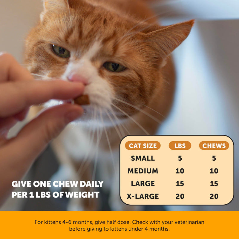 Cat Joint & Immune Support Virtual Bundle – Hip & Joint Health Chews + Immune Support Lysine Chews, 30 Day Supply Each