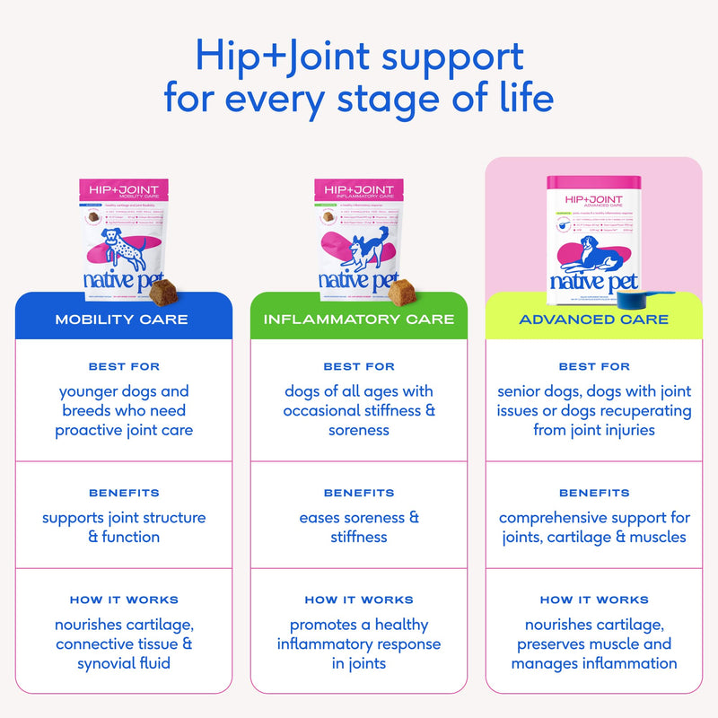 Native Pet Hip & Joint Advanced Care Dog Joint Supplement Powder for Mobility & Movement Support, Joint Supplement for Dogs with HMB, UC-II Collagen, Green Lipped Mussel & Hyaluronic Acid – 30 Scoops 30 Servings