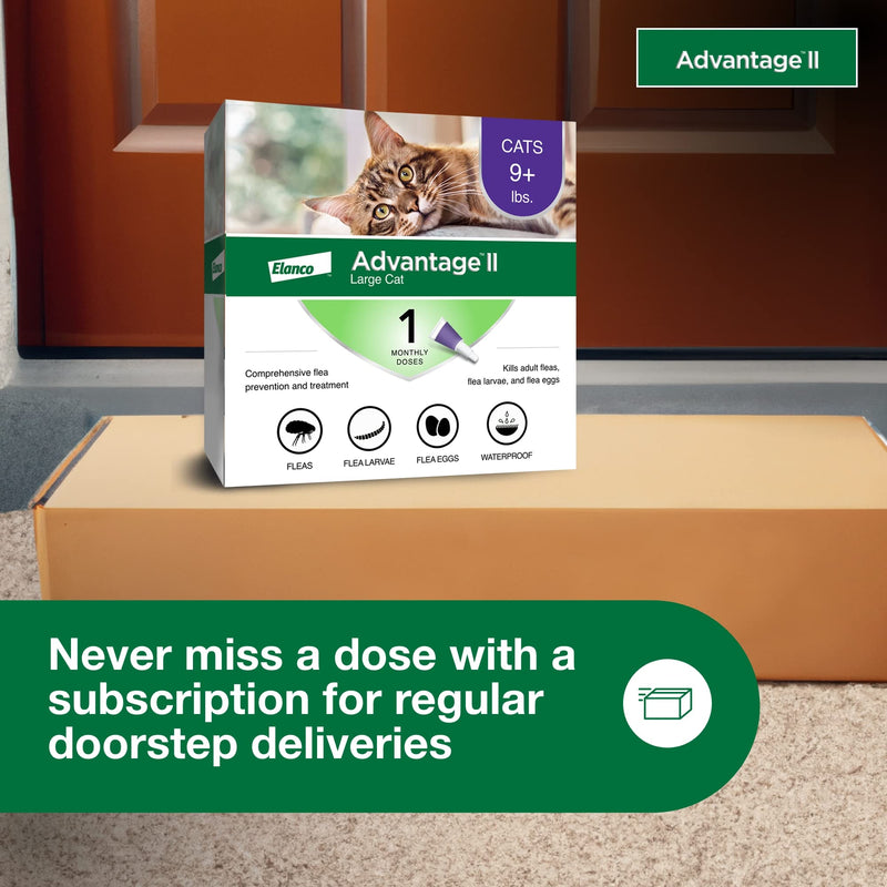 Advantage II Large Cat Vet-Recommended Flea Treatment & Prevention | Cats Over 9 lbs. | 1-Month Supply (Pack of 3) 3-Pack