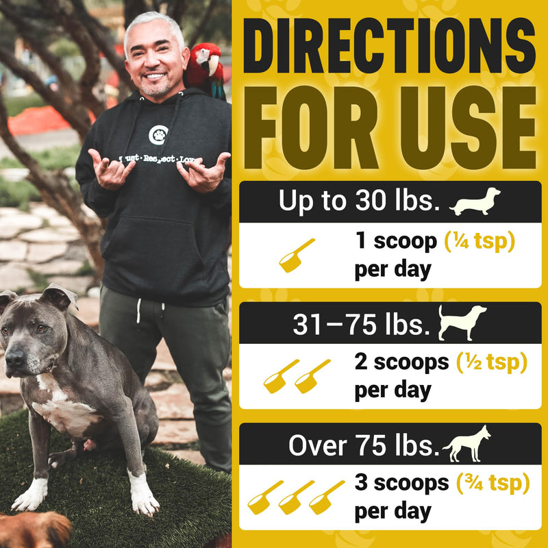 Better Dog Supplements by Cesar Millan® Skin Magic – Natural Skin and Coat Supplement for Dogs Irritation from Seasonal Factors, Hot Spots, & Itch Relief Dog Skin Supplement – 4oz (60-Day Supply)