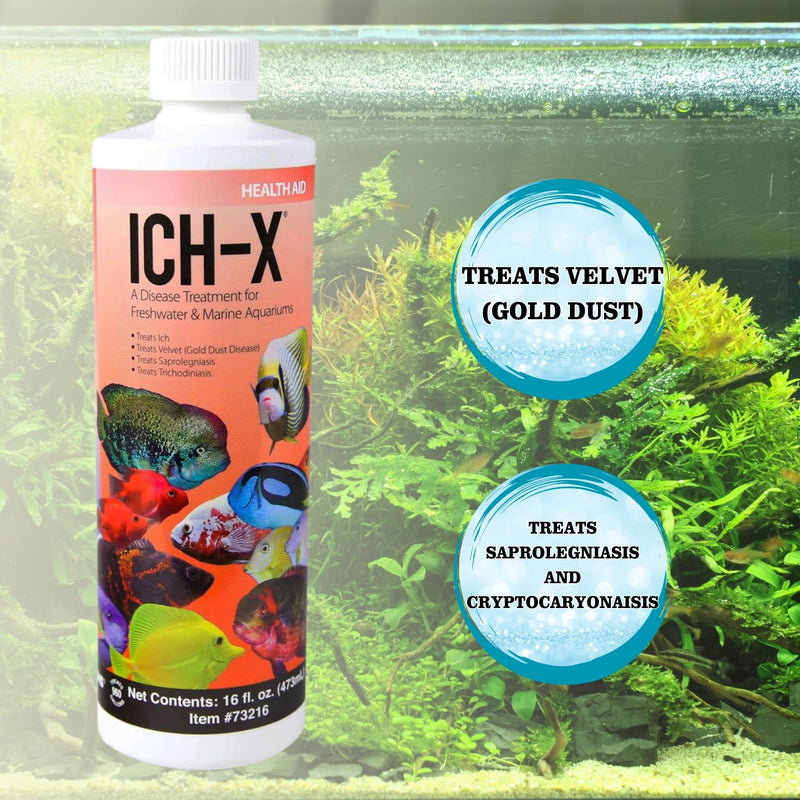 ICH X 16 fl oz, PraziPro 4 fl oz for Freshwater, Including Trinity Treats Microfiber Cleaning Cloth (ICH X for Freshwater Fish, PraziPro for Fish) - BeesActive Australia
