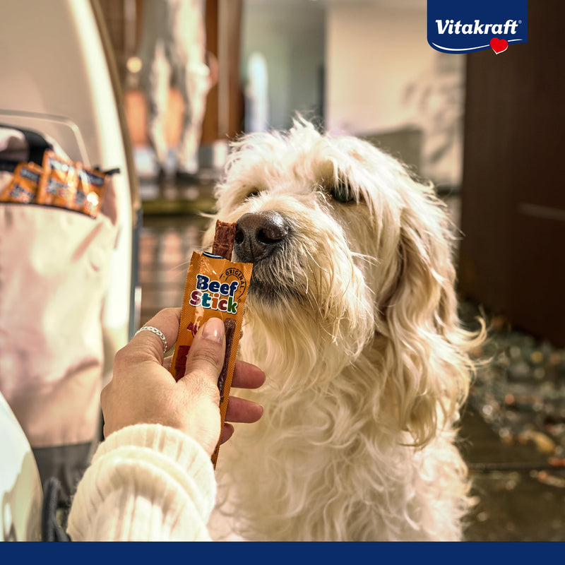 Vitakraft Beef Stick Quadros, dog treats grain-free, extra meaty, with cheese, to reward and pamper, without added sugar (1x 70g) 70 g (pack of 1) - BeesActive Australia