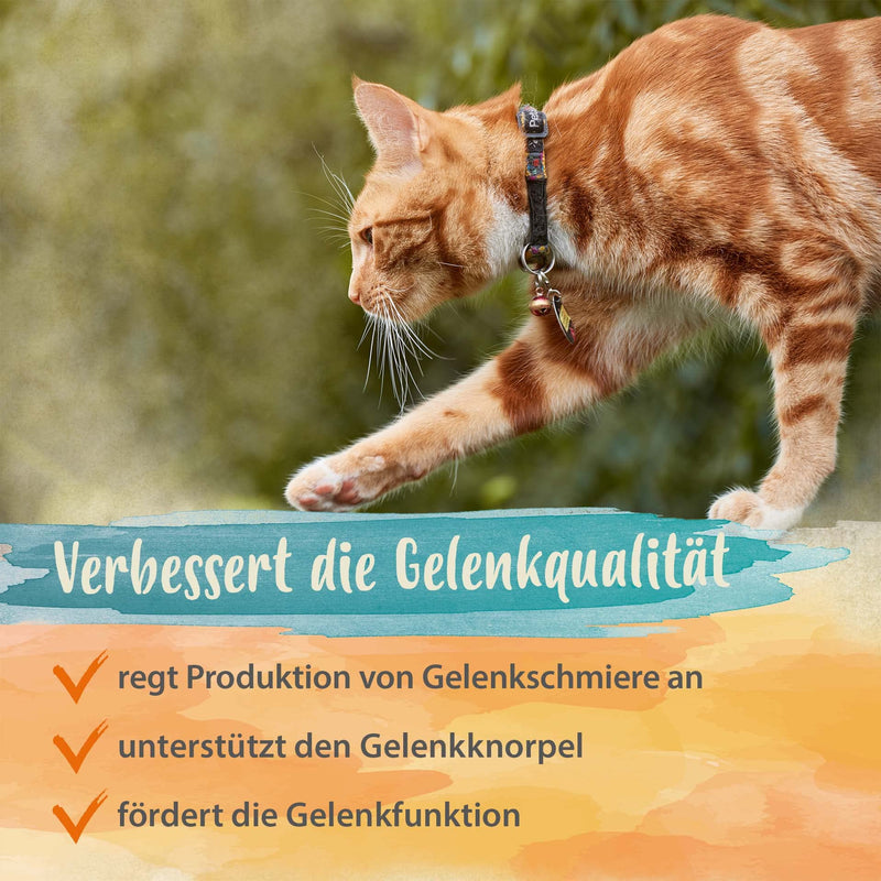 Ida Plus - 100% green-lipped mussel powder for cats - 100 g - green-lipped mussel to support joint function - full fat quality - without additives - with glycosaminoglycans, Omega 3, calcium, magnesium - BeesActive Australia
