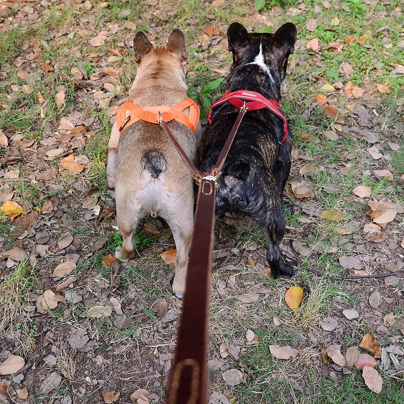 Real Leather Double Dog Leash, No Tangle Dual Dog Leashes with Heavy Duty Shiny Coupler, 5 Feet Pet Training and Walking Leads for 2 Puppies, Small and Medium Dogs, Brown - BeesActive Australia