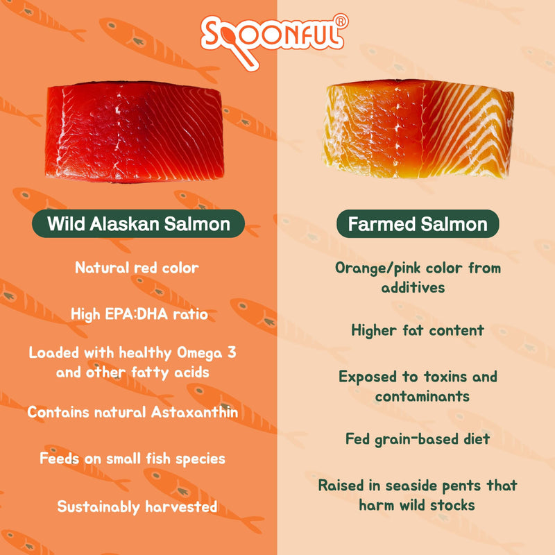 Spoonful Salmon Squeeze - 100% Natural Wild-Caught Alaskan Salmon Oil – 2,000 mg Omega-3 Softgel, 60 Squeezeable Softgels | DHA, EPA & Natural Astaxanthin, Non-GMO, Sustainable, Made in USA (60)