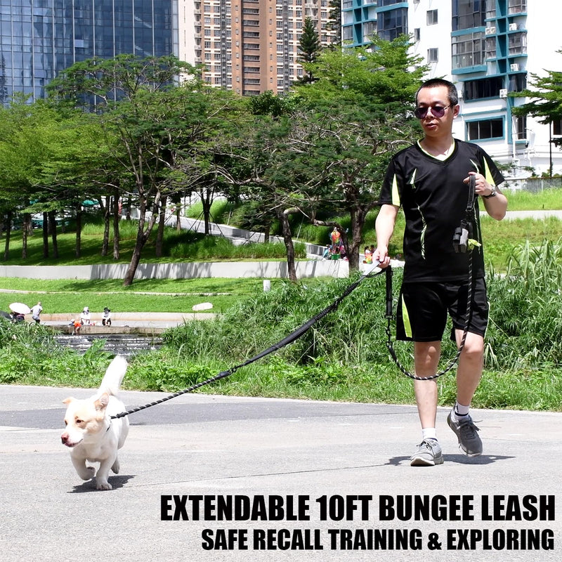 Double Dog Leash - Hands Free Dog Leash Crossbody & Waist for Dog Walking - Tangle-Free Bungee & Padded Handles for Medium & Large Dogs, Black